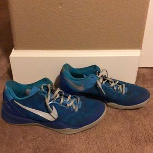 Kobe 8 (coral snake)